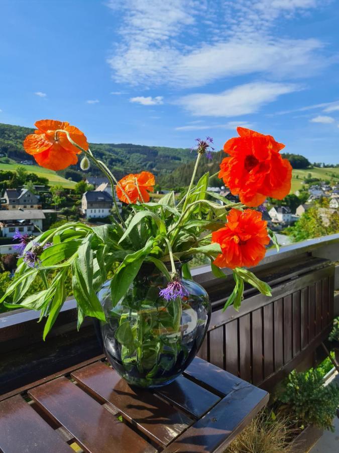 דירות Panoramablick Willingen Schwalefeld מראה חיצוני תמונה