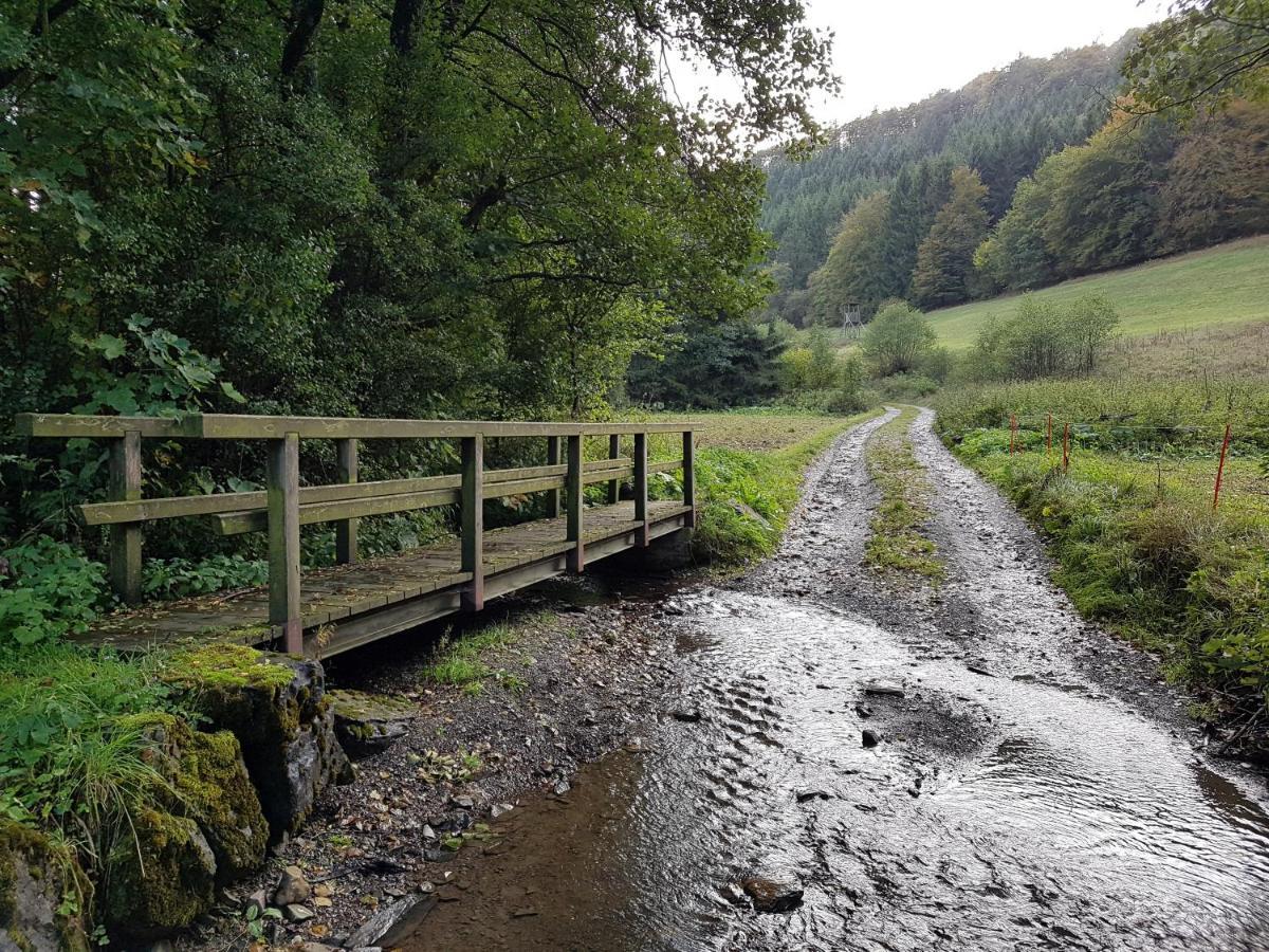 דירות Panoramablick Willingen Schwalefeld מראה חיצוני תמונה